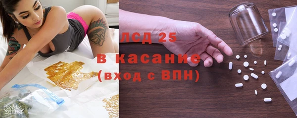 ГАЛЛЮЦИНОГЕННЫЕ ГРИБЫ Алзамай