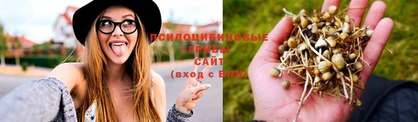 ГАЛЛЮЦИНОГЕННЫЕ ГРИБЫ Алзамай
