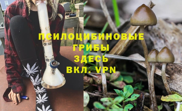 ГАЛЛЮЦИНОГЕННЫЕ ГРИБЫ Алзамай