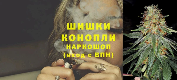 ГАЛЛЮЦИНОГЕННЫЕ ГРИБЫ Алзамай