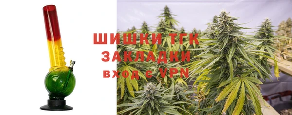 ГАЛЛЮЦИНОГЕННЫЕ ГРИБЫ Алзамай